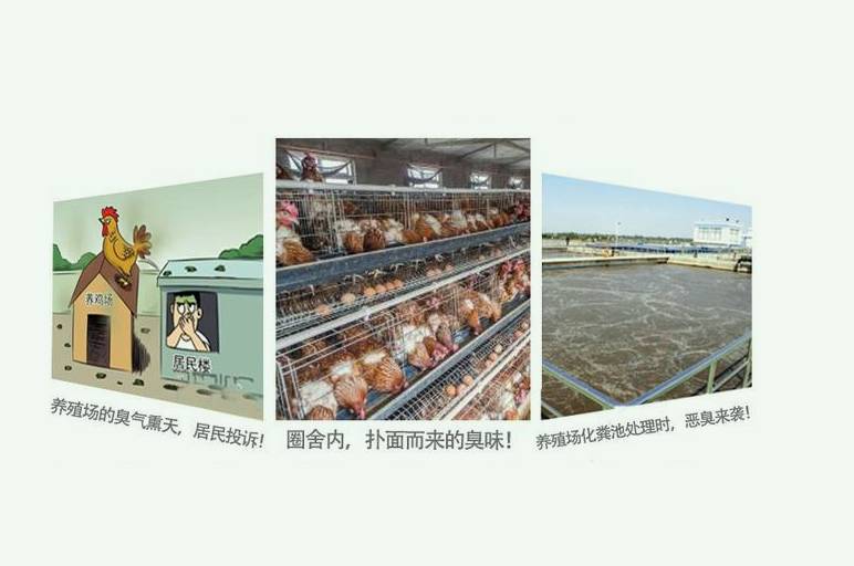 養(yǎng)殖場(chǎng)排放的臭氣對(duì)人危害有哪些(養(yǎng)殖場(chǎng)的氣味對(duì)身體有害嗎) 養(yǎng)殖場(chǎng)排放的臭氣對(duì)人危害有哪些(養(yǎng)殖場(chǎng)的氣味對(duì)身體有害嗎)